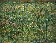 Patch of Grass Vincent Van Gogh